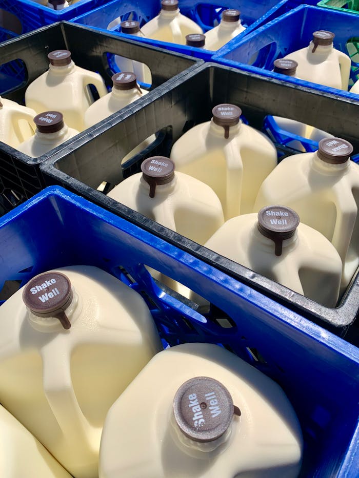 pexels-photo-31458842 Rows of milk jugs in blue crates, showcasing dairy farming products ready for distribution.